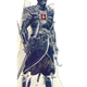 Illustration for article titled Costume Designs and Storyboards from the Dune That Never Was